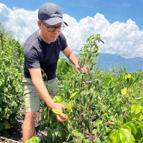 Esta es otra noticia de prueba 3