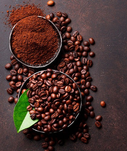 Nuestro Café de calidad de Exportación